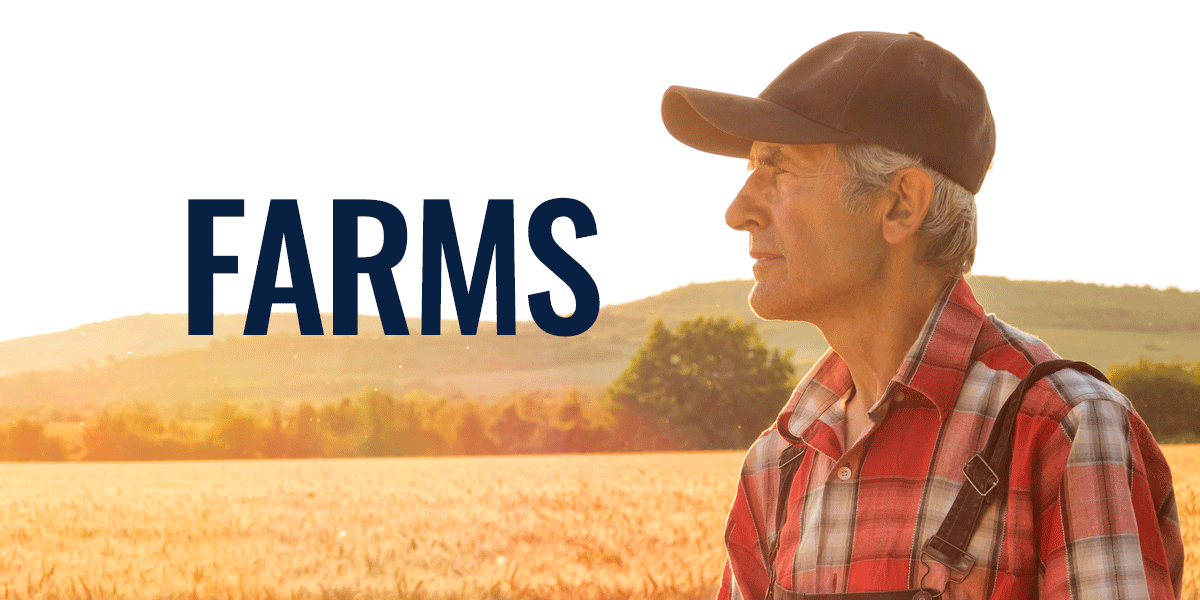 farmer looking out over crops